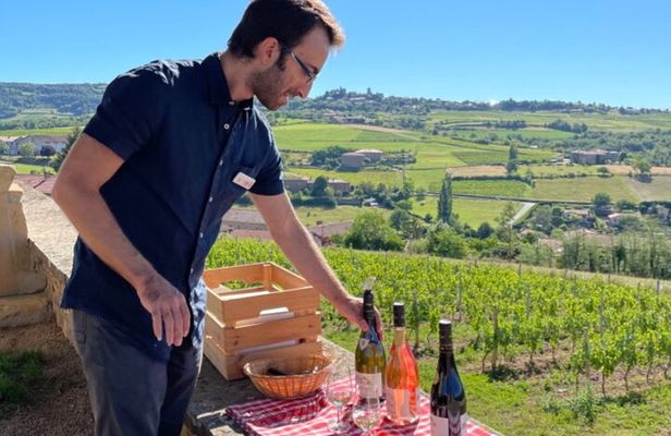 Golden stones Beaujolais Wine Tour with Tastings from Lyon