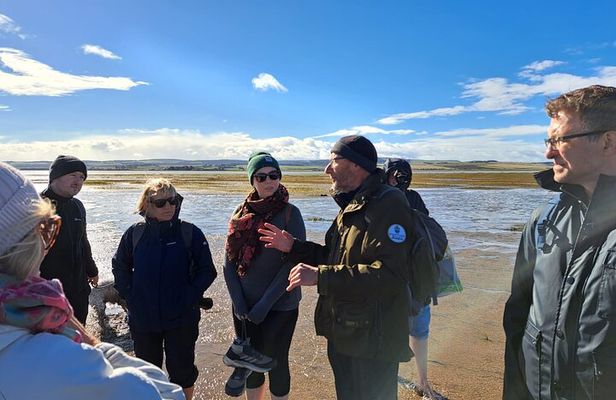 Pilgrims' Path walk across the sands to Holy Island