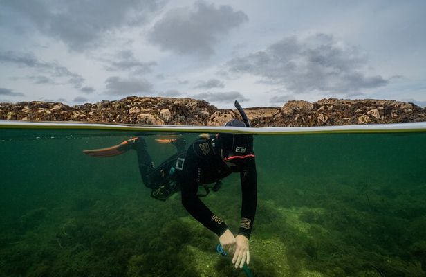 Guided Snorkel Activity at Coral Beach Carraroe, Galway