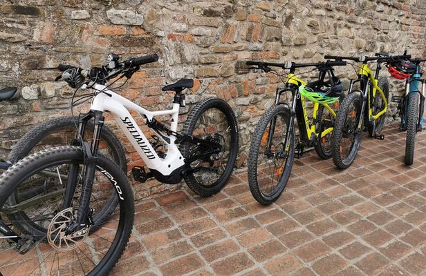 3 Hour E-bike Tour with Parmesan and Balsamic Vinegar