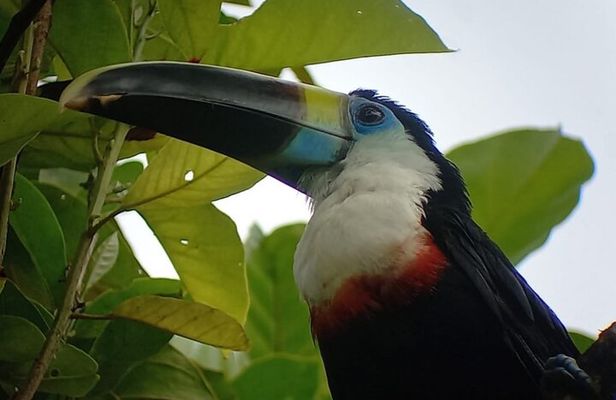 3-Day Eco-Sustainable Private Tour Manu National Park