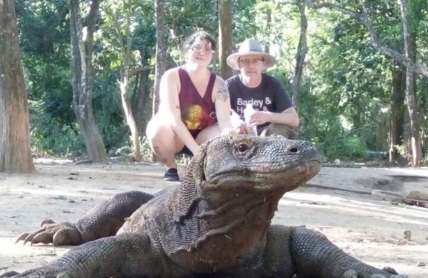 3-Day Komodo National Park Tour: Komodo Island and Rinca Island Trek