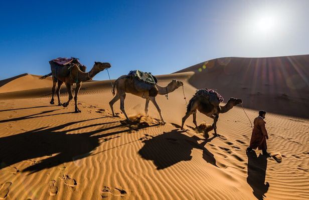 4 Day Private Desert to Merzouga from Marrakech
