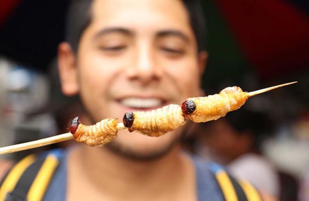 Bizarre Foods Tour for Adventurous Foodies