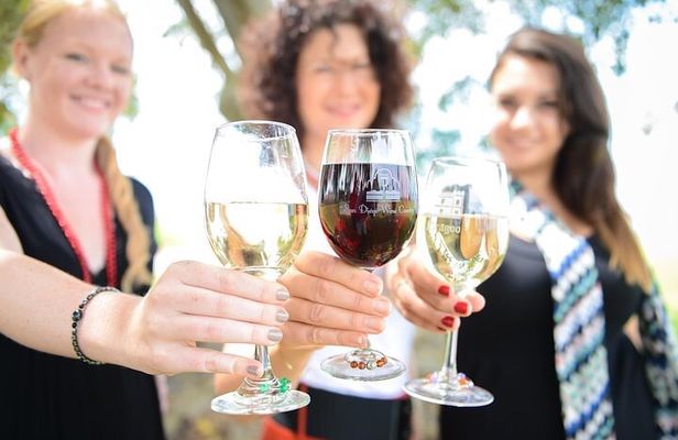 Vineyard Adventure to local San Diego Vineyards