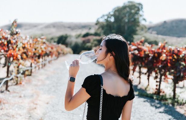 Muir Woods & Wine Country