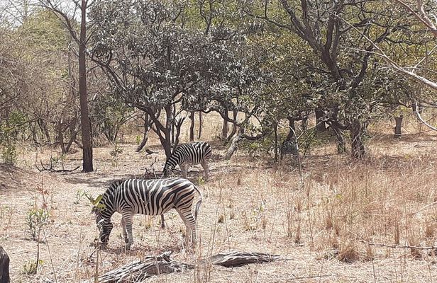 Fathala Wildlife Park