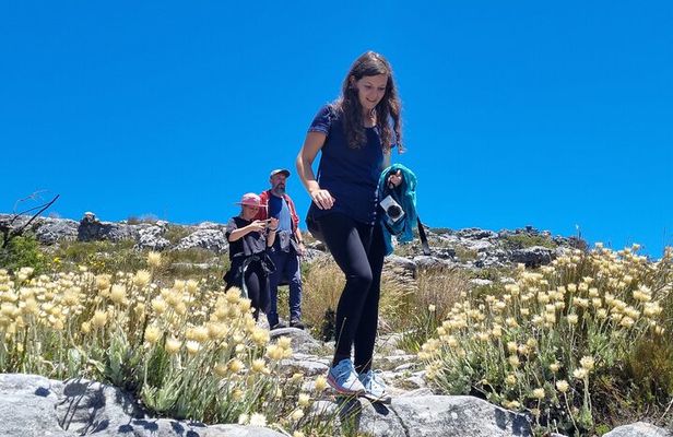 BEST of Table Mountain! Exhilarating Full-day Guided Hike