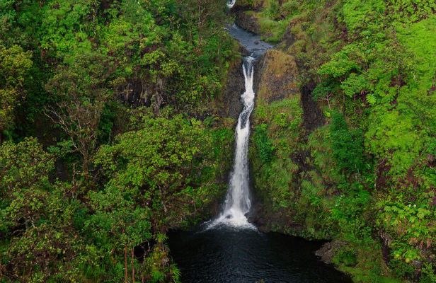 Hana Rainforest Scenic Helicopter Tour