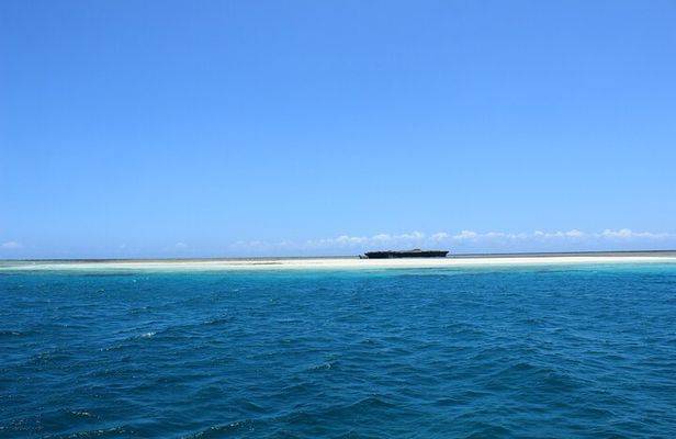 Wasini Dolphin Spotting Tour