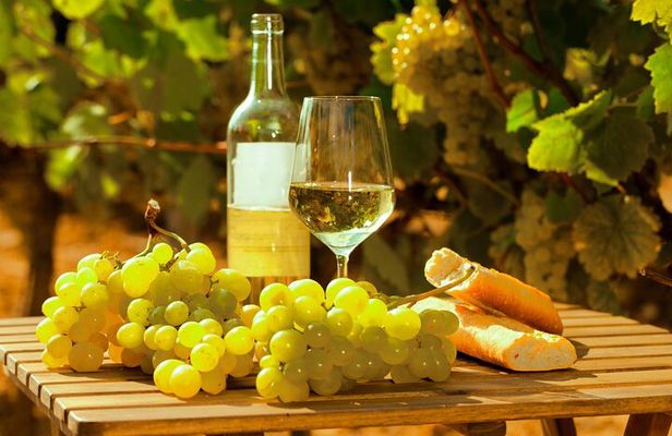 Private Double Wine Tasting Tour in Frascati - Exclusive