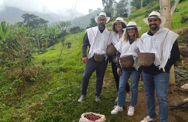Private Coffee Tour in Jardín Antioquia