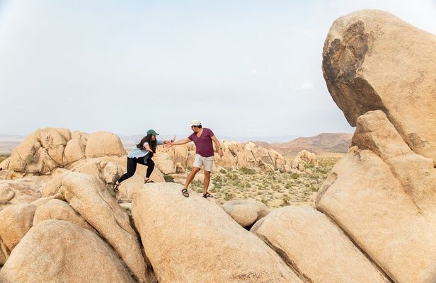 Joshua Tree Full Day Private Tour and Hike