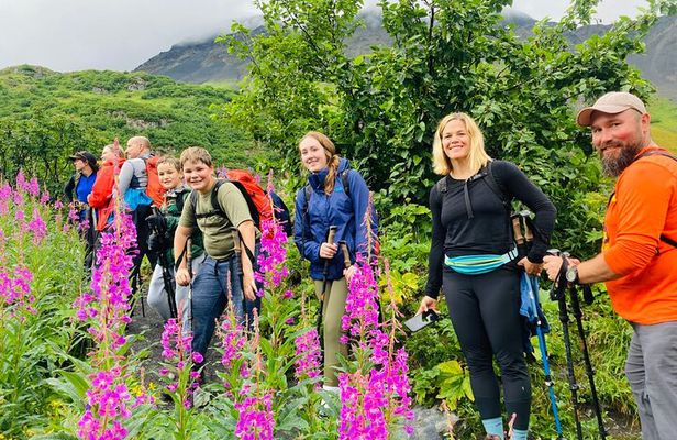 Seward Wilderness Hiking