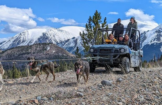 Summer Sled Dog Remote Yukon Camp & Summit Tour