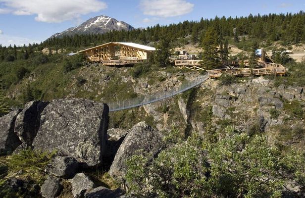 Summit Experience & Yukon Suspension Bridge Tour
