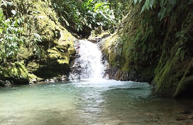 Private Full Day Mindo Tour with Pickup