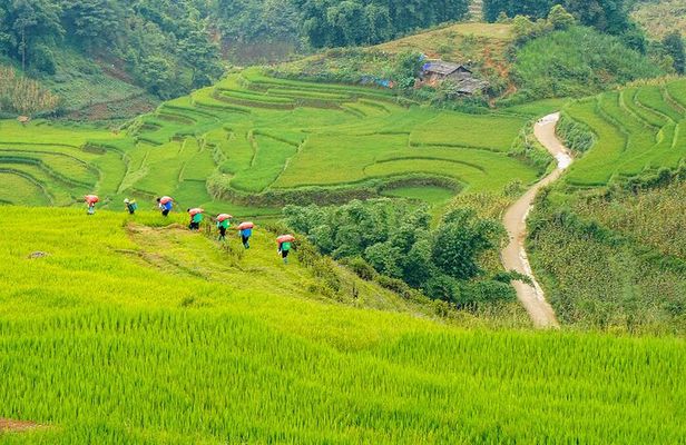 Sapa Trekking & Homestay 2 Days 1 Night