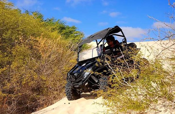 Provo island buggy tour hot sale