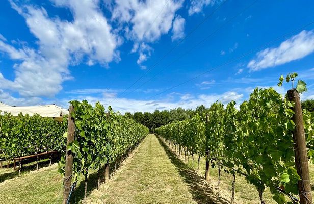 From Florence: Classic Chianti Villages and Wine Roads by Minivan