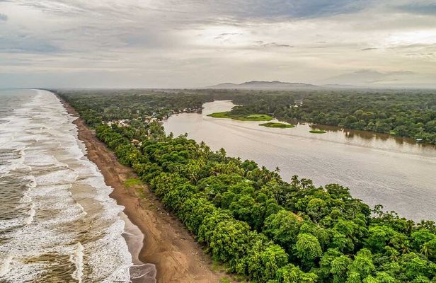 Tortuguero National Park - Admission Ticket