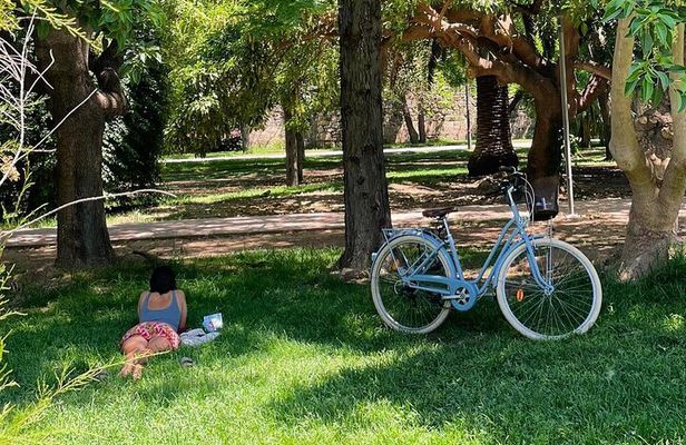 Three Parks Tour | Private Ride by Bike, E-Bike, E-Step or Segway