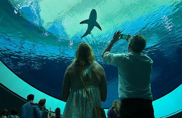 Frost Science Museum Admission Tickets