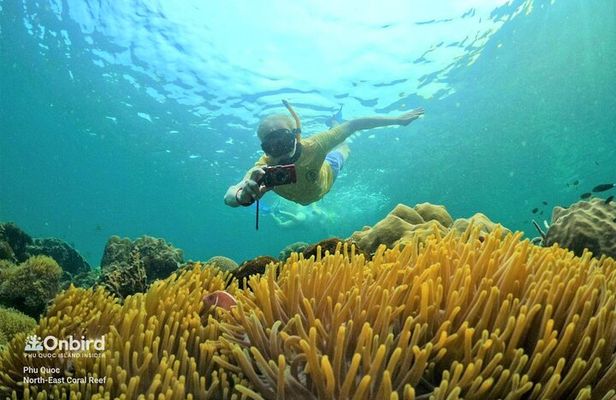 OnBird - PRIVATE ADVENTURE SNORKELING - explore Half-moon reef & Coral Mountain