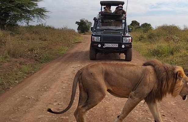 Nairobi National park private day tour