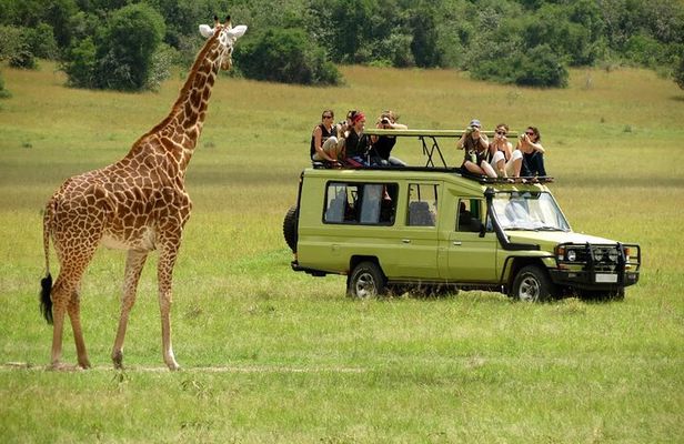 3 Days Masai Mara Budget Camping Safari on 4X4 Land Cruiser