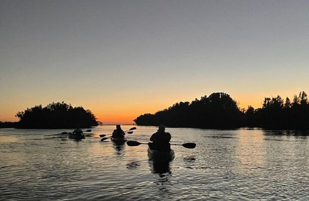 Sunset Kayaking - Wildlife Refuge (Titusville)