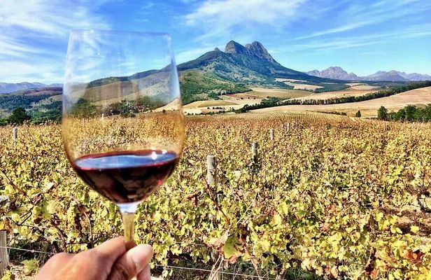Private Full Day Stellenbosch Wine Tour