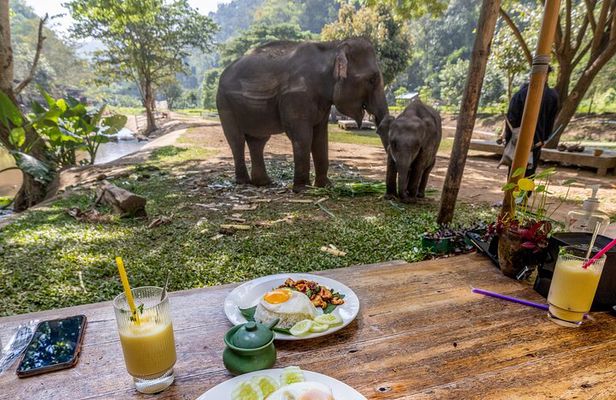 Scooter Adventure with elephants, views and FUN drive yourself
