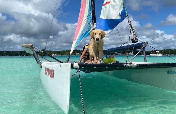 Sail away! Hobie Cat Tour in the lagoon