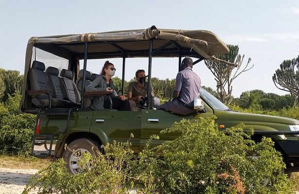 Kenya Volunteering Safari