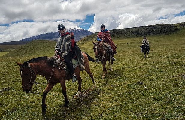Cotopaxi Horseback Riding Tour from Quito – Andes Adventure