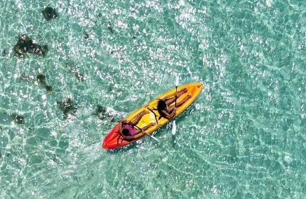  Fun & Sun Wildlife Encounter + Brady's Cay Daypass 