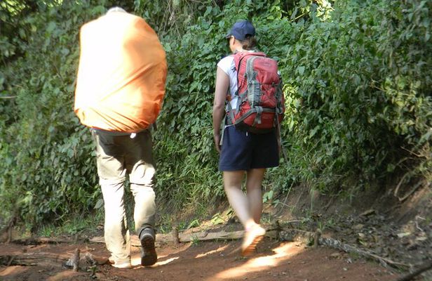 7 Days Kilimanjaro Climbing | Hiking Tour via the Lemosho Route