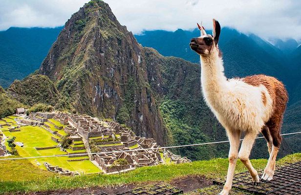Machu Picchu Day Trip from Ollantaytambo & Urubamba