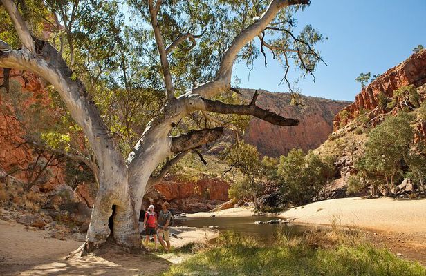 West MacDonnell Ranges & Standley Chasm Day Trip from Alice Springs