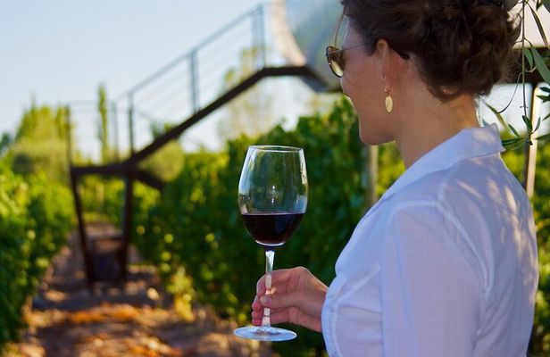 Wine paths