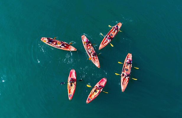 3 Hours Kayaking in Kotor Bay in Montenegro