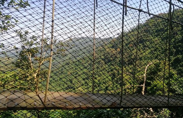 Full-Day Volta Experience ( Mount Gemi and Monkey Sanctuary) Private Tour