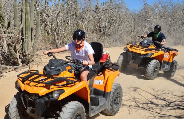 Single ATV Tour from Migriño Beach & Desert
