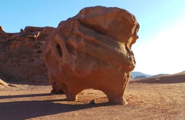 Private 6-Day Petra, Wadi Rum, Dead Sea & More – Customizable