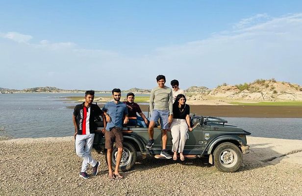 Jawai Leopard Wildlife Safari