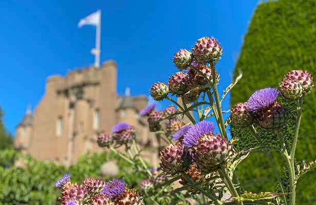 Aberdeen Airport/Train/Harbour transfer & Private Guided Tour