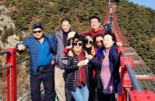 Full Day Tour in Jeju Island