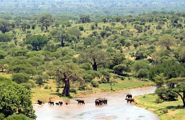 Private 12-Day Johannesburg, Kruger, Drakensberg, Cape Town Tour