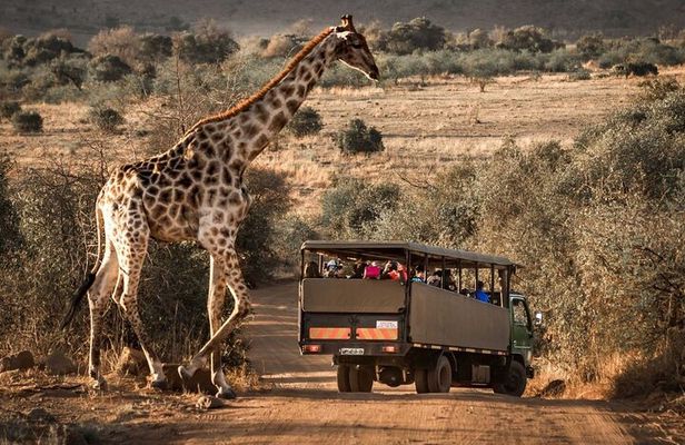 10-Day Private Tour Johannesburg to Cape Town